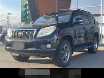 2010 Toyota Land Cruiser Prado