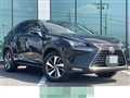 2019 Lexus NX
