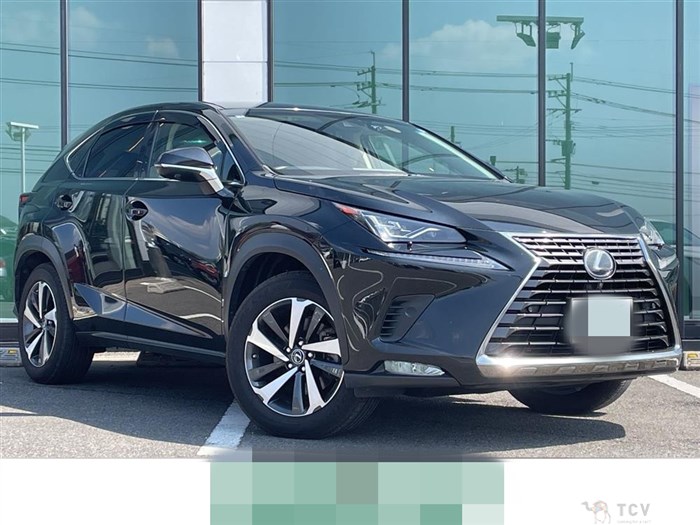 2019 Lexus NX