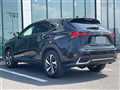 2019 Lexus NX