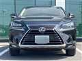 2019 Lexus NX