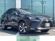 2019 Lexus NX