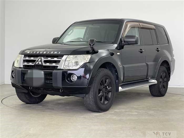 2011 Mitsubishi Pajero