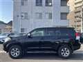 2010 Toyota Land Cruiser Prado