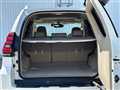 2019 Toyota Land Cruiser Prado