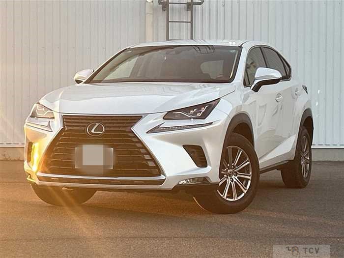2019 Lexus NX