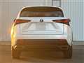 2019 Lexus NX
