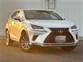 2019 Lexus NX