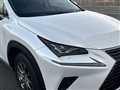 2019 Lexus NX