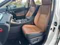 2019 Lexus NX