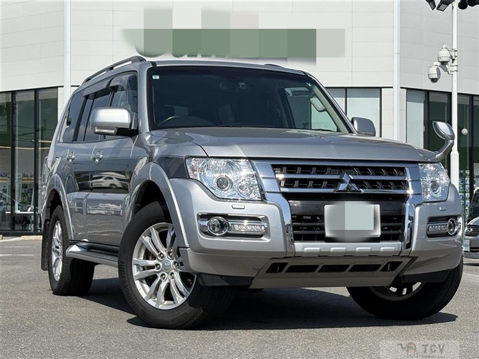 2019 Mitsubishi Pajero