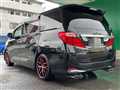 2009 Toyota Vellfire