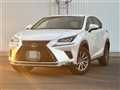 2019 Lexus NX
