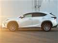 2019 Lexus NX