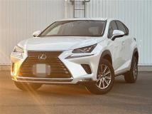 2019 Lexus NX