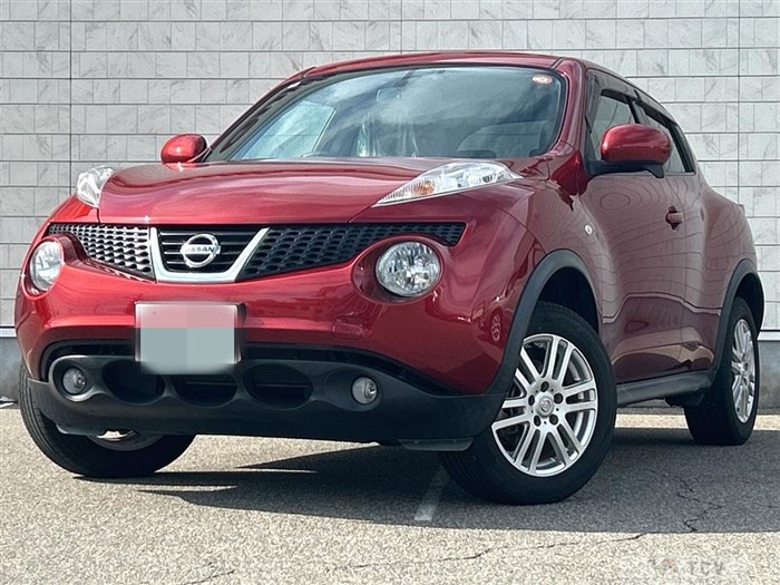 2010 Nissan Juke
