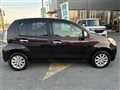 2010 Toyota Passo