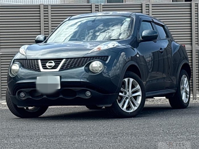 2011 Nissan Juke