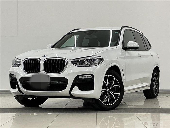 2019 BMW X3