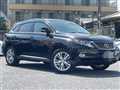 2010 Lexus RX