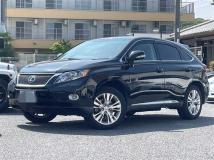 2010 Lexus RX
