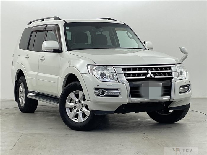 2018 Mitsubishi Pajero
