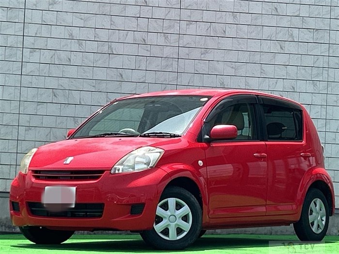 2010 Toyota Passo