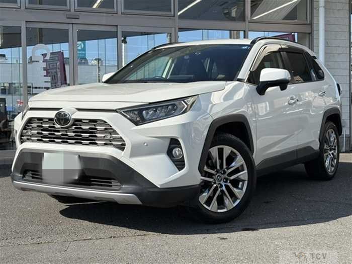2019 Toyota RAV4