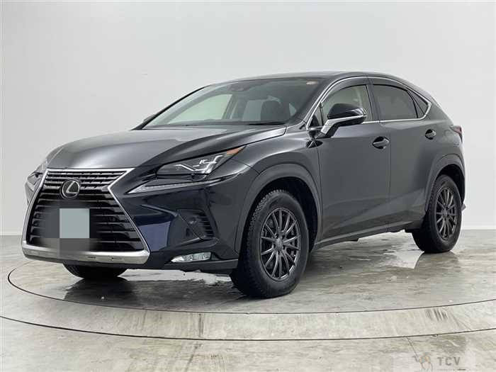 2019 Lexus NX