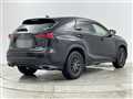 2019 Lexus NX