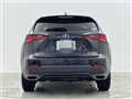 2019 Lexus NX