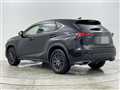 2019 Lexus NX