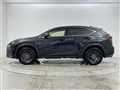 2019 Lexus NX