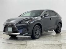 2019 Lexus NX