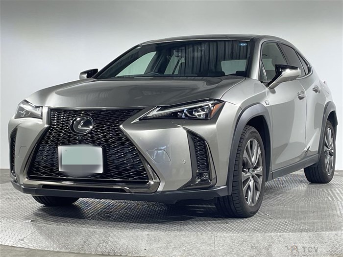 2019 Lexus UX