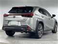 2019 Lexus UX