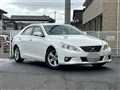 2010 Toyota Mark X