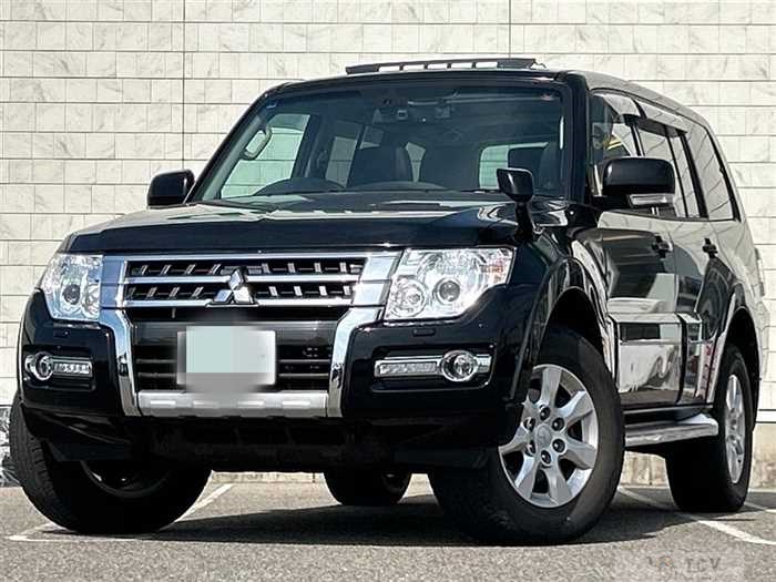 2018 Mitsubishi Pajero