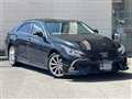 2010 Toyota Mark X