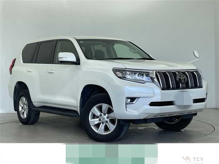 2019 Toyota Land Cruiser Prado