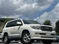 2011 Toyota Land Cruiser