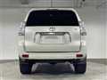 2010 Toyota Land Cruiser Prado