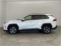 2019 Toyota Harrier