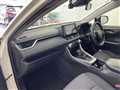 2019 Toyota Harrier