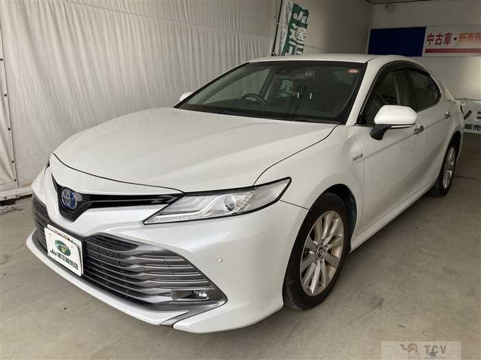 2019 Toyota Camry Hybrid