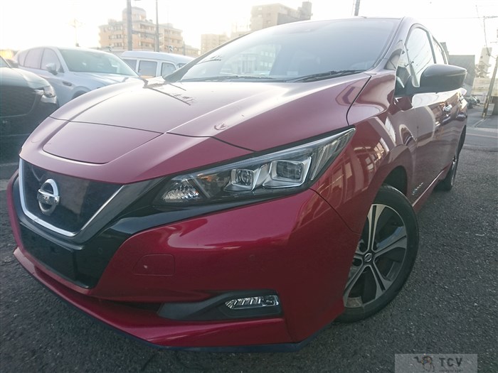 2019 Nissan Leaf