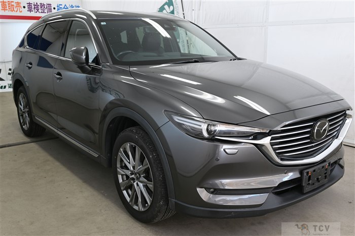 2019 Mazda CX-8
