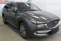 2019 Mazda CX-8