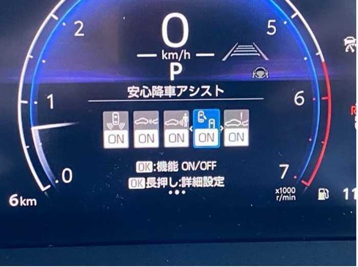 Toyota Land Cruiser LAND CRUISER WAGON 250 VX 4WD FULL OPTION 2025 — миниатюра 9