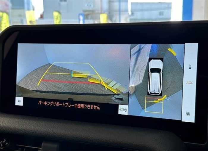 Toyota Land Cruiser 250 VX FIRST EDITION 2024 — миниатюра 3